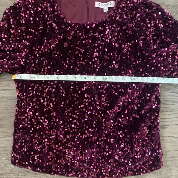 Nanette Nanette Lepore Short Sleeve Velvet Sequin Blouse - Size S - Plum - NWT - Picture 6 of 9